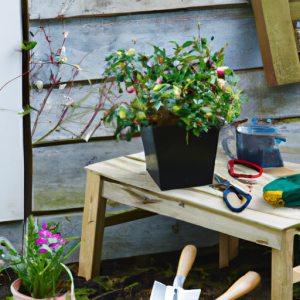 Spring into Action: The Best Home Improvement Projects to Tackle